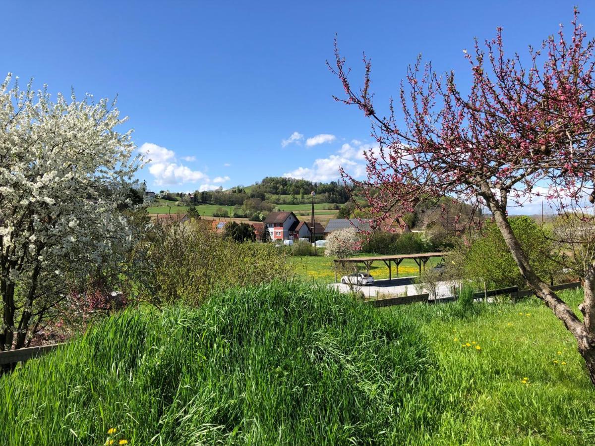 Ferienwohnungen Und Appartements Im Idyllischen Vierkanthof, Gruppenurlaube Fürstenfeld エクステリア 写真