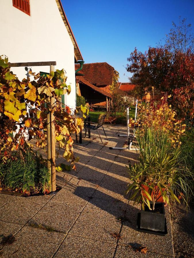 Ferienwohnungen Und Appartements Im Idyllischen Vierkanthof, Gruppenurlaube Fürstenfeld エクステリア 写真